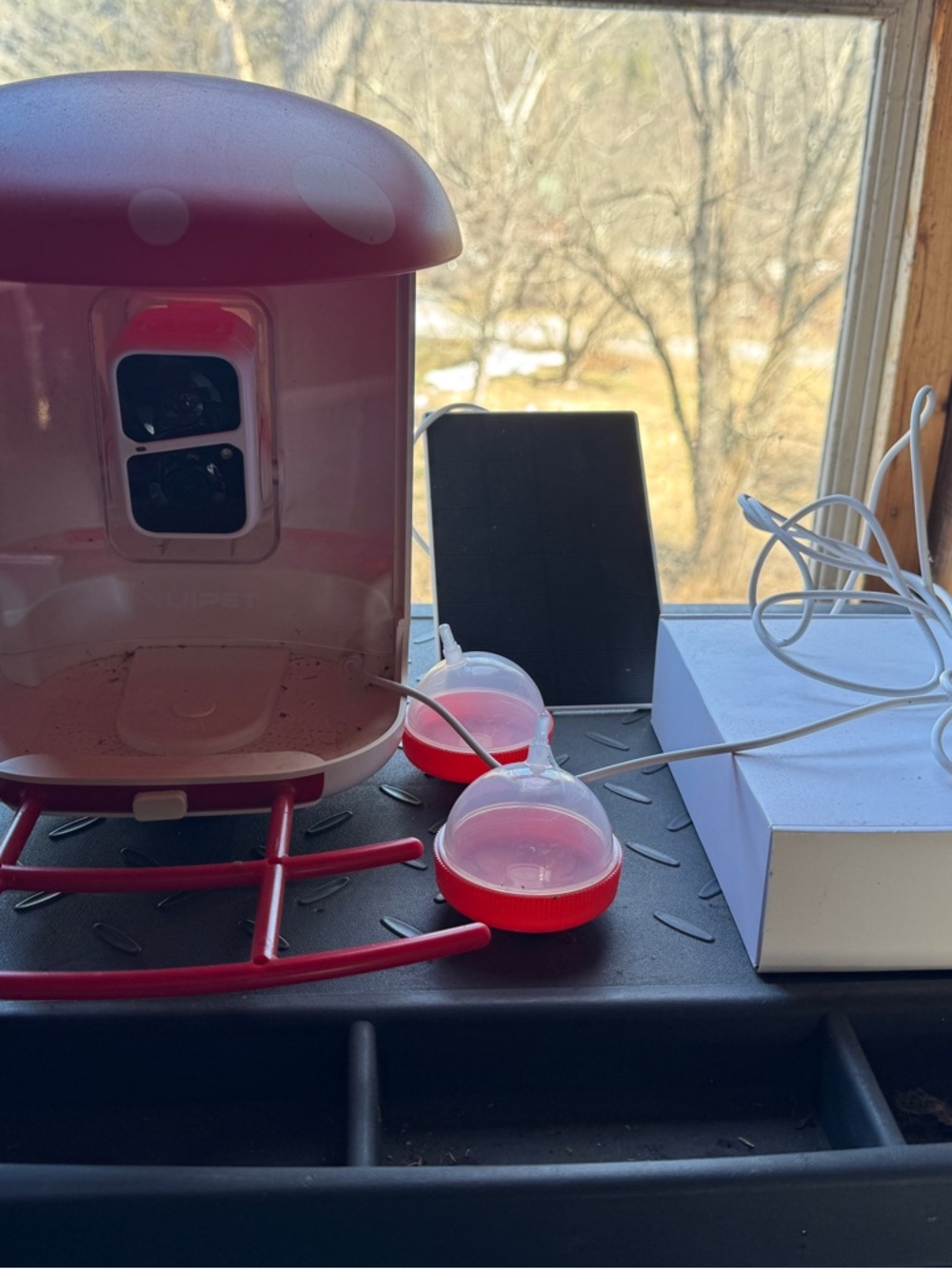 Wuipet Smart Camera Bird Feeder